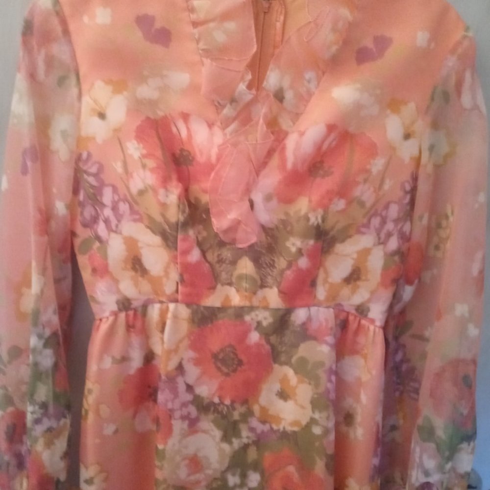 1960-1970 vintage Lorrie Deb Maxi dress